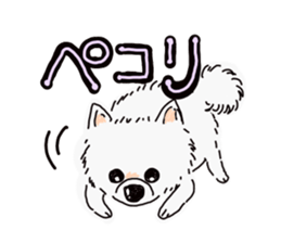 Kolo dog charm plenty Pomeranian sticker #12763403
