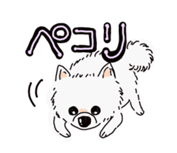 Kolo dog charm plenty Pomeranian sticker #12763403