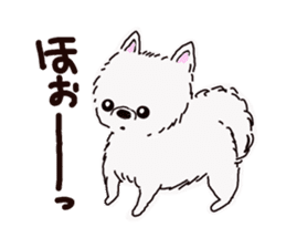 Kolo dog charm plenty Pomeranian sticker #12763405