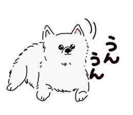 Kolo dog charm plenty Pomeranian sticker #12763407