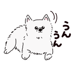 Kolo dog charm plenty Pomeranian sticker #12763407