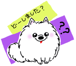 Kolo dog charm plenty Pomeranian sticker #12763408