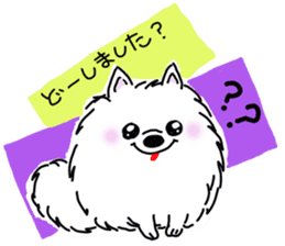 Kolo dog charm plenty Pomeranian sticker #12763408