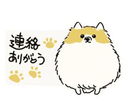 Kolo dog charm plenty Pomeranian sticker #12763410