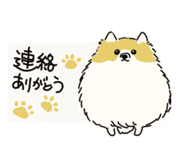 Kolo dog charm plenty Pomeranian sticker #12763410
