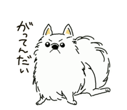 Kolo dog charm plenty Pomeranian sticker #12763427