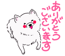 Kolo dog charm plenty Pomeranian sticker #12763432