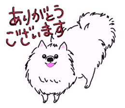 Kolo dog charm plenty Pomeranian sticker #12763434