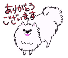 Kolo dog charm plenty Pomeranian sticker #12763434