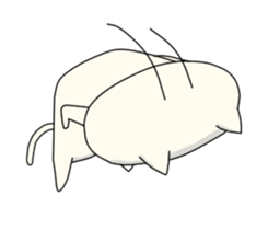 He's Cheerful Cat sticker #12763652