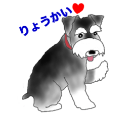 NICK THE SCHNAUZER sticker #12763902