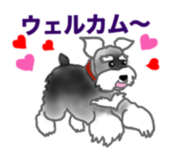 NICK THE SCHNAUZER sticker #12763903