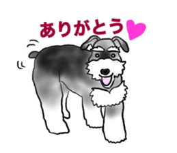 NICK THE SCHNAUZER sticker #12763913