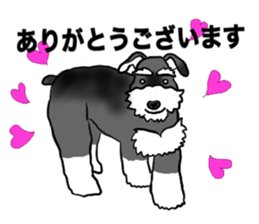 NICK THE SCHNAUZER sticker #12763914