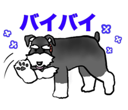 NICK THE SCHNAUZER sticker #12763916
