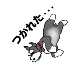 NICK THE SCHNAUZER sticker #12763921