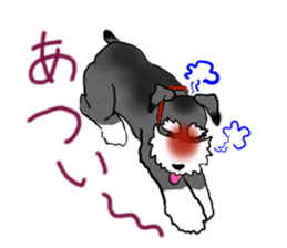 NICK THE SCHNAUZER sticker #12763928