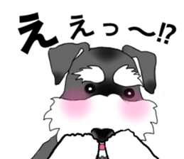 NICK THE SCHNAUZER sticker #12763931