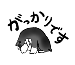 NICK THE SCHNAUZER sticker #12763932