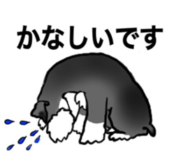 NICK THE SCHNAUZER sticker #12763933