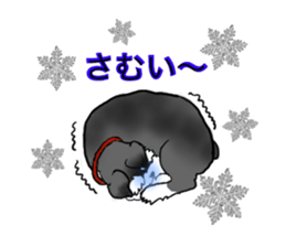 NICK THE SCHNAUZER sticker #12763936