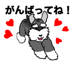 NICK THE SCHNAUZER sticker #12763938