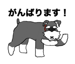 NICK THE SCHNAUZER sticker #12763939