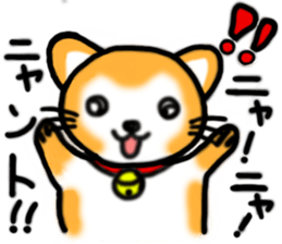 Animal Joke Message Sticker sticker #12765391