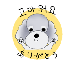 Fluffy Dogs~Korean&Japanese sticker #12765554