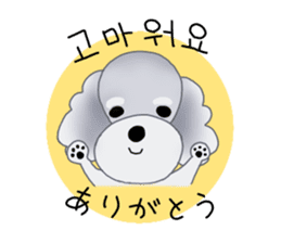 Fluffy Dogs~Korean&Japanese sticker #12765554