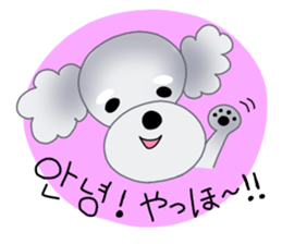 Fluffy Dogs~Korean&Japanese sticker #12765571