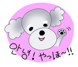 Fluffy Dogs~Korean&Japanese sticker #12765571