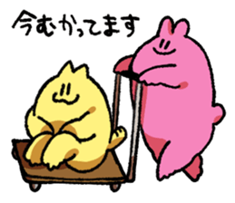 NEKOZAWA with USATAN sticker #12766483