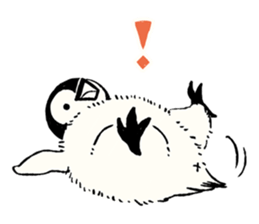 Animals of the Arctic & the Antarctic 8 sticker #12769015