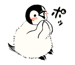 Animals of the Arctic & the Antarctic 8 sticker #12769022