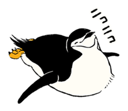 Animals of the Arctic & the Antarctic 8 sticker #12769023