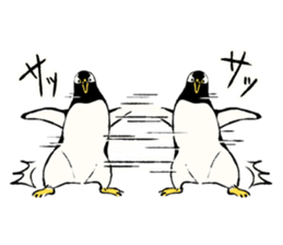 Animals of the Arctic & the Antarctic 8 sticker #12769026