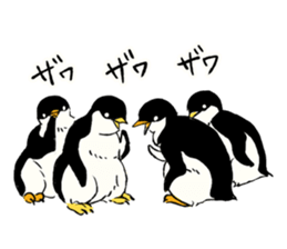 Animals of the Arctic & the Antarctic 8 sticker #12769029