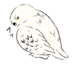 Animals of the Arctic & the Antarctic 8 sticker #12769032