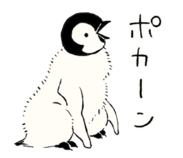 Animals of the Arctic & the Antarctic 8 sticker #12769043