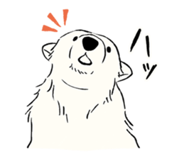 Animals of the Arctic & the Antarctic 8 sticker #12769046