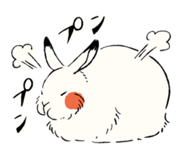 Animals of the Arctic & the Antarctic 8 sticker #12769051