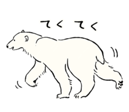 Animals of the Arctic & the Antarctic 8 sticker #12769052