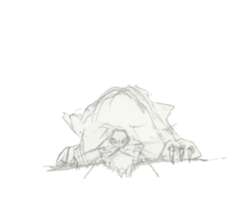 Coloring of animals sticker #12769057