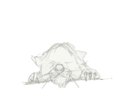 Coloring of animals sticker #12769057