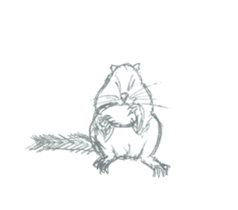 Coloring of animals sticker #12769068