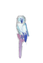 Coloring of animals sticker #12769069