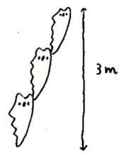 Kyomu Kyomu Koala sticker #12772945