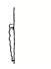 Kyomu Kyomu Koala sticker #12772962