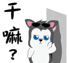 Cool-Dog 3th sticker #12774191